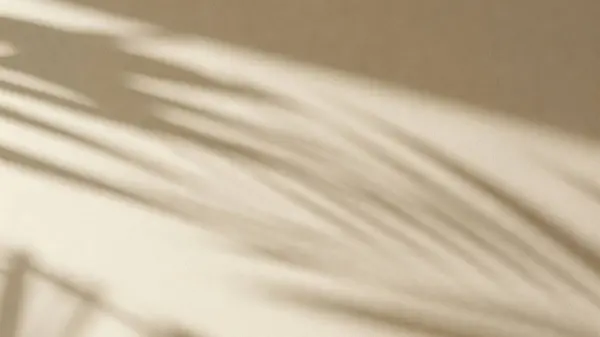 Açık bej bir duvarda yumuşak palmiye yaprağı gölgeleri olan minimalist bir estetik arka plan.