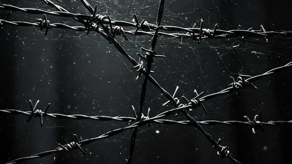 Çapraz dikenli teller, birbirine dolanmış ağlar ve yüzen tozlarla unutulmaz siyah-beyaz bir sahne.