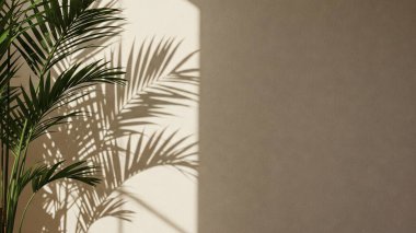 Bereketli yeşil palmiye bitkisi bej bir duvarın karşısında duruyor. Güneş ışığından dolayı keskin ve karmaşık gölgeler bırakıyor.