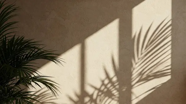 Bereketli yeşil palmiye bitkisi bej bir duvarın karşısında duruyor. Güneş ışığından dolayı keskin ve karmaşık gölgeler bırakıyor.