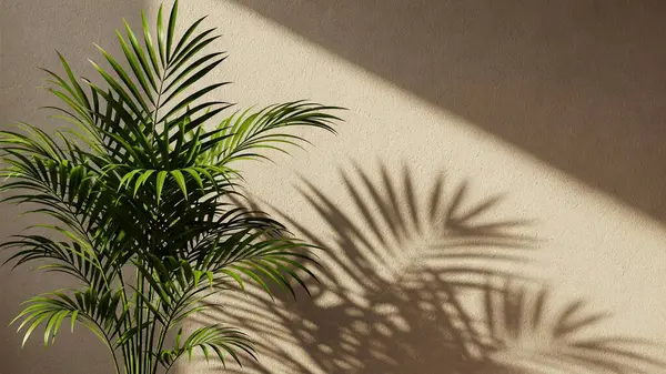 Bereketli yeşil palmiye bitkisi bej bir duvarın karşısında duruyor. Güneş ışığından dolayı keskin ve karmaşık gölgeler bırakıyor.