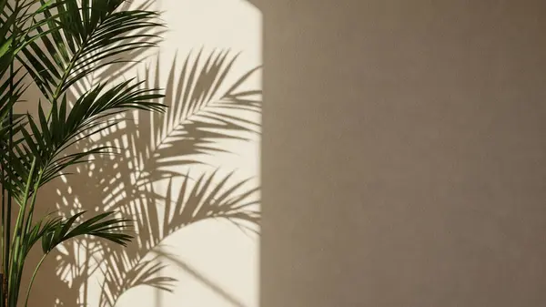 Bereketli yeşil palmiye bitkisi bej bir duvarın karşısında duruyor. Güneş ışığından dolayı keskin ve karmaşık gölgeler bırakıyor.