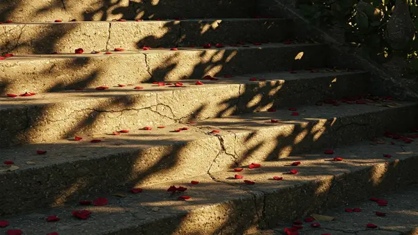Kırsal taş merdiven, görünür çatlaklar, kırmızı gül yapraklarıyla dağılmış.