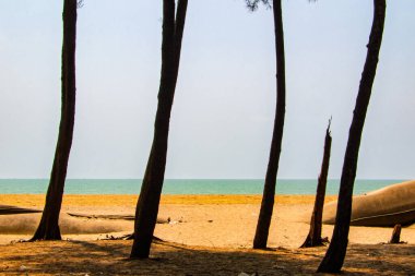 Beach Scene, Cox 's Bazar, Bengal Körfezi, Bangladeş