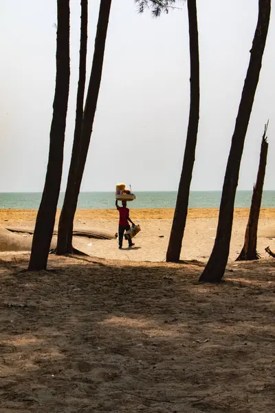 Kafasında bir sepet taşıyan bir kişi, arkasında okyanus olan uzun ağaçlarla çerçevelenmiş kumlu bir sahil boyunca yürür. Cox 's Bazar, Bengal Körfezi, Bangladeş