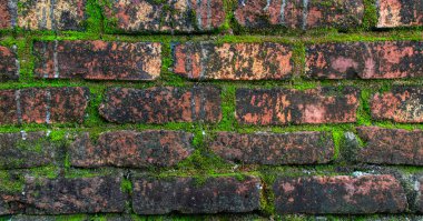 Yeşil Yosun 'lu Grungy Red Brick Wall: Yüksek Irklı Doku Fotoğrafı