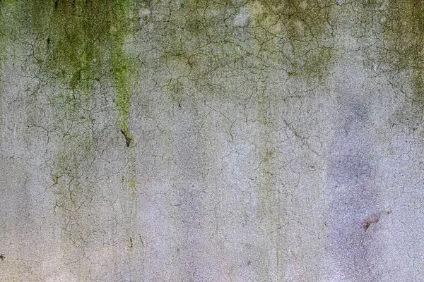 Doğal Çürüme: Yeşil Yosun & Eski Çatlak Duvar Dokusu