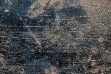 Hassas, gelişmekte olan tohum yapılarına sahip doğal yeşil bitkilerin detaylı görüntüsü karmaşık ve ferahlatıcı bir doğal doku yaratıyor. Çevresel, botanik ve organik temalar için ideal.