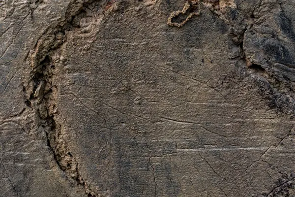 Yakın plan, yıpranmış bir ağaç gövdesini, görünür çatlaklar, düğümler ve pürüzlü, dokulu bir yüzeyi, doğal arka plan ve organik desenler için ideal bir şekilde yakalar..