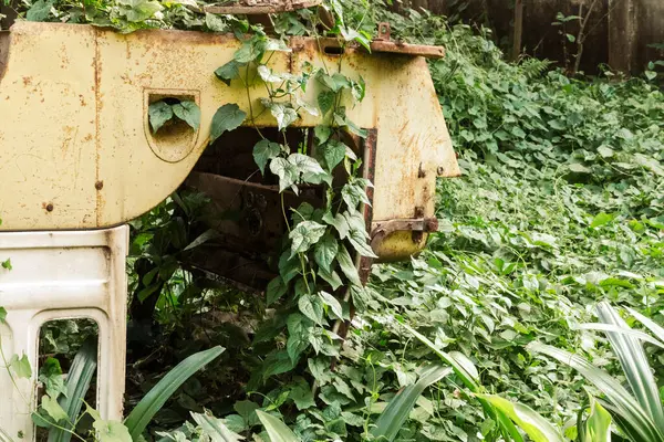 Yeşillik tarafından kucaklanan terk edilmiş makineler. Doğanın ıslah edilişini, çürüme ve büyümenin güzelliğini gösteren bir sahne..