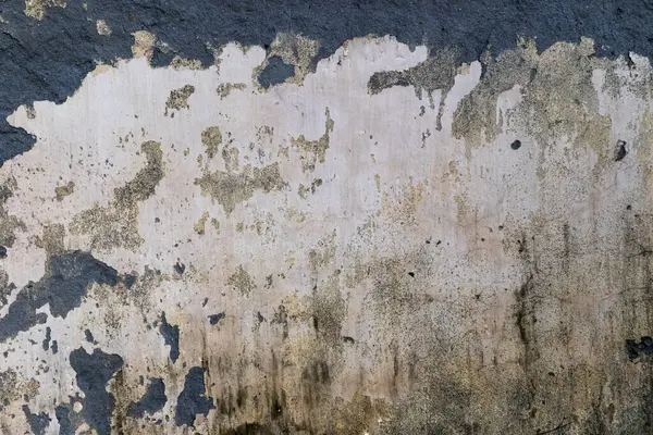 Dökümlü duvar, soyulmuş boya ve eski taş arka planda grunge elementleri sergiliyor. Eski ve yıpranmış bir zemin sunuyor, kırsal tasarımlar için mükemmel..