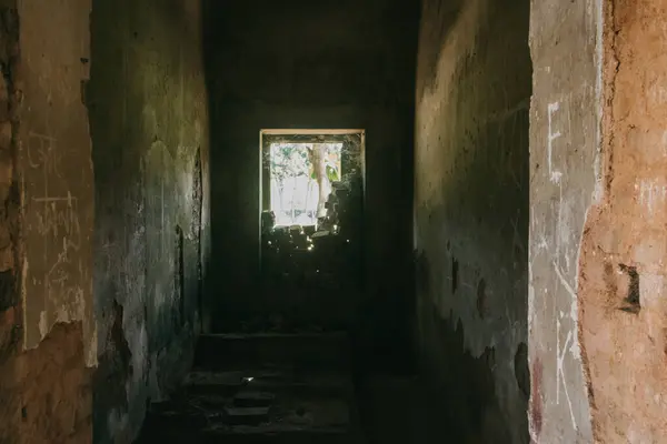 Büyüleyici bir harabe, çürümeyi sergiliyor ve Angkor Wat 'ın kalıcı tasarım unsurlarını sergiliyor. Perspektif, izleyicileri eski bir tapınağın gizemli koridoruna çekiyor..