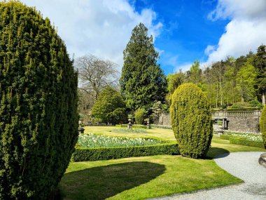 Rydal Hall, Ambleside 'da zarif resmi bahçeler, düzgün budanmış çalılar, taş şekiller, nergis yatakları ve orman manzarası. İngiliz bahçe tasarımı, peyzaj arazisi, miras alanı ya da Lake District doğa sahneleri gibi araştırmalar için ideal..