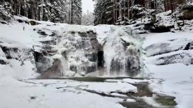 Kış karlı ormanı ve donmuş şelale. Yüksek kalite 4k görüntü