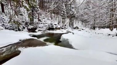 Donmuş dağ nehri ve karlı orman. Doğanın sesi. Yüksek kalite 4k görüntü
