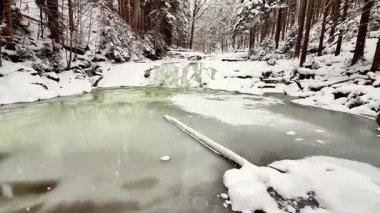 Orman kış nehri ve şelale. Yüksek kalite 4k görüntü