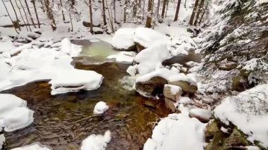 Kış ormanı ve karlı nehir. Yüksek kalite 4k görüntü