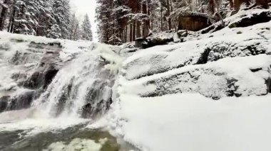 Donmuş şelale ve karlı orman. Görüntüyü yakınlaştır. Yüksek kalite 4k görüntü