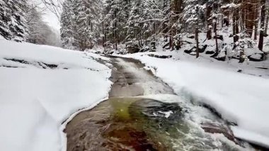 Karlı bir ormanda fırtınalı ve donmuş bir dağ nehri. Yüksek kalite 4k görüntü