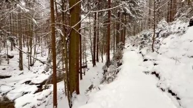 Görkemli yeşillikler ve çarpıcı granit manzaralarla çevrili sakin, karlı orman patikalarını keşfedin.