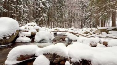 Huzurlu bir kış sahnesinde, sakin bir ormanın ortasında pürüzsüz taşlarla kaplı karla kaplı güzel bir nehir sergileniyor.