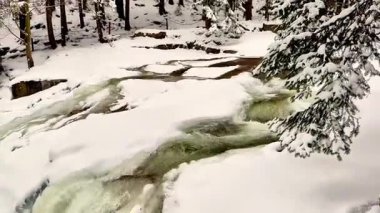 Huzurlu ve sakin bir kış sahnesi güzel bir dereyi sergiliyor. Karlı bir ormanlık arazide zarifçe kıvrılıyor.