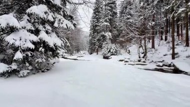 Sakin bir kış sahnesi, ağaçlarla sarmalanmış karla kaplı güzel bir patikayı gözler önüne seriyor. Mevsimlik temalar için ideal.