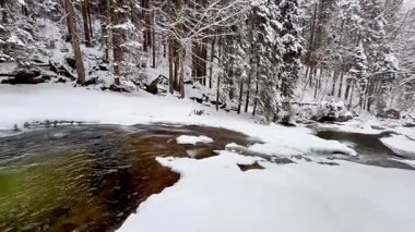 Huzurlu ve huzurlu bir kış manzarası güzel bir karlı nehir kıyısı ve zarif karlarla kaplı ağaçlar sergiliyor.