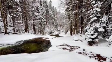 Güzel, sakin bir kış manzarası. Karla kaplı bir ormanın yanında hafif bir akıntı.