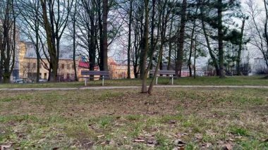 Bankların, yemyeşil ağaçların ve arka planda bir binanın ipuçlarının olduğu sakin ve sakin bir park sahnesi.