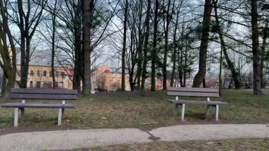 Bereketli ağaçlar arasında iki davetkar bankın olduğu sakin bir park sahnesi, hareketli bir günün ardından gevşemek için ideal.