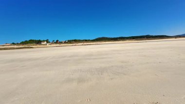 Huzurlu bir sahil sahnesi sonsuz yumuşak kumların uçsuz bucaksız genişliğini yukarıda canlı mavi bir gökyüzünün altında gösteriyor.