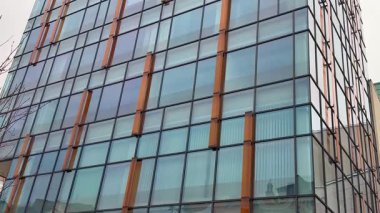 Bu tasarım zarif bir şekilde canlı cam ve şık ahşap kirişlerle karakterize edilmiş çağdaş bir estetiği sergiliyor.