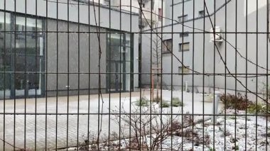 Yerde yumuşak kar ve güçlü metal çitlerle çevrili bitkilerle dolu huzurlu bir kış bahçesi.