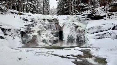 Kış karlı ormanı ve donmuş şelale. Yüksek kalite 4k görüntü