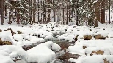 Güzel, huzurlu bir kış manzarası karla kaplı bir nehrin sakin bir orman manzarasında kıvrılarak ilerlediğini gösteriyor.