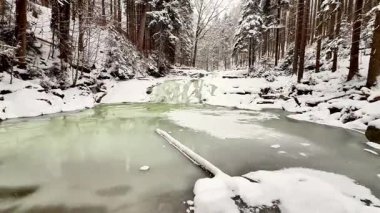Huzurlu bir kış sahnesi. Huzurlu bir ormanda karla kaplı ağaçlarla çevrili donmuş bir dere..