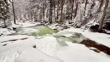 Karlı bir ormanda şelalesi olan donmuş dağ nehri. Yüksek kalite 4k görüntü