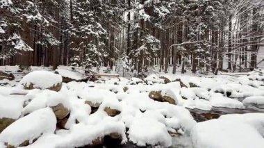 Sakin bir kış manzarası tasvir edilir, karla kaplı kayalar ve sessiz bir ormanda yuva yapmış uzun ağaçlar sergilenir.