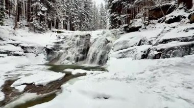 Kış ormanında şelalesi olan donmuş bir dağ nehri. Yüksek kalite 4k görüntü