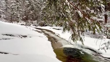 Huzurlu ve sakin bir nehir zarif bir şekilde karla kaplı bir ormanın içinden akar. Güzelce sergilenen kışlar sakindir.