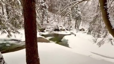 Güzel, sakin bir kış sahnesinde karla kaplı bir manzara sergileniyor.
