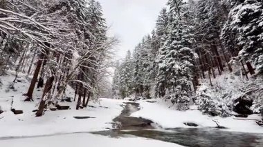 Karla kaplı çam ormanlarında zarafetle kıvrılan bir nehri gösteren nefes kesen sakin bir kış manzarası.