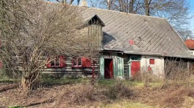 Bu sakin kırsal alanda, yıpranmış ve terk edilmiş bir ev yoğun, aşırı gelişmiş bitki örtüsüyle çevrili.