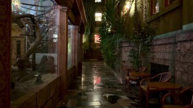 Huzurlu ve huzurlu bir ara sokak, gece güzelce aydınlatılmış, güzel bitkiler ve davetkar rahat koltuklar.