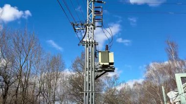 Transformatörle süslenmiş bir elektrik direği yukarıda açık mavi bir gökyüzünün altında ağaçlarla çevrili duruyor.