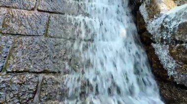 Huzurlu bir şelale zarif bir şekilde güzel desenli bir taşın üzerinde akıyor ve muhteşem bir huzur dolu doğa manzarası yaratıyor.