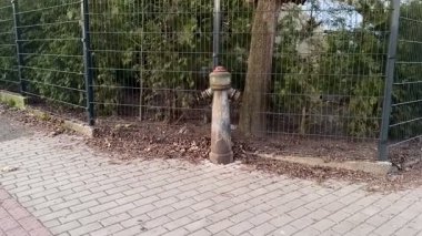 Yıpranmış bir yangın musluğu eski bir çitin yanında gururla duruyor. Doğayı çevreleyen kentsel altyapıyı gösteriyor.