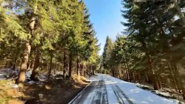 Huzurlu, sakin kar tozlu bir yol her daim yeşil ağaçların arasından esen açık mavi gökyüzünün altında.