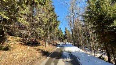 Huzurlu ve huzurlu bir yol, bereketli ve güzel bir orman manzarasında, kar parçalarıyla süslenmiş bir şekilde yavaşça gezinir.